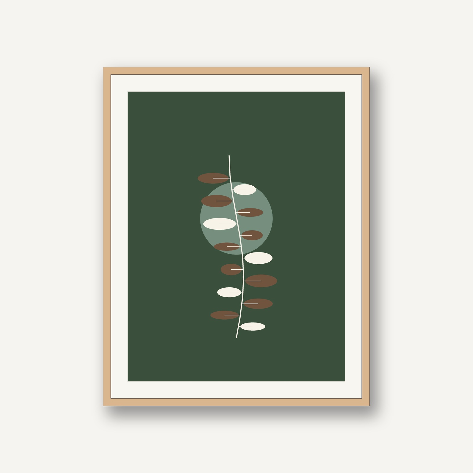 French Herbarium & Pressed Botanicals - Eucalyptus cinerea leaf branch No. 2